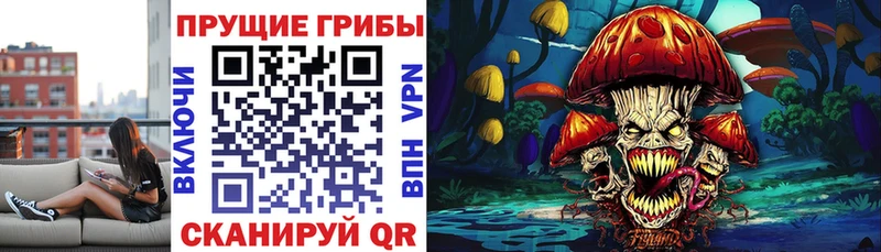 купить  сайты  Злынка  Псилоцибиновые грибы Psilocybine cubensis 